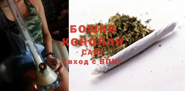 крисы Богородицк