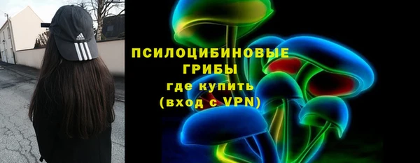 крисы Богородицк