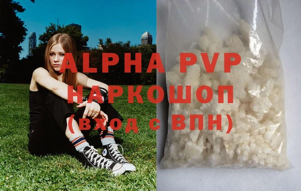 крисы Богородицк