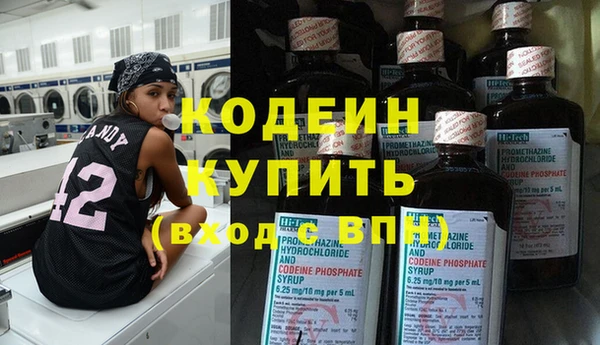 крисы Богородицк