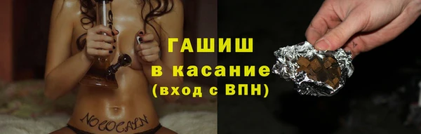 крисы Богородицк