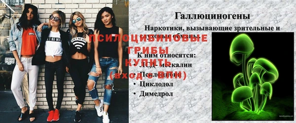 крисы Богородицк