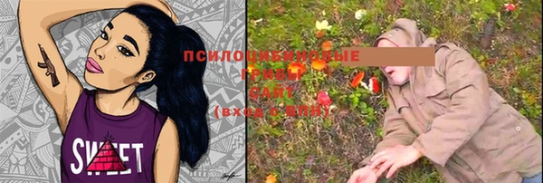 крисы Богородицк