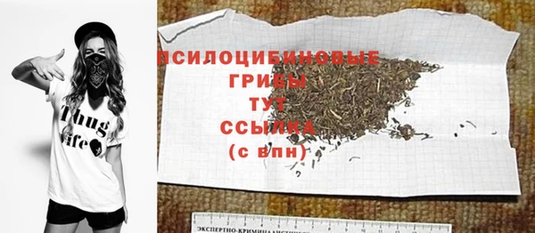 ПСИЛОЦИБИНОВЫЕ ГРИБЫ Богородск