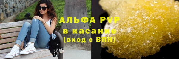крисы Богородицк