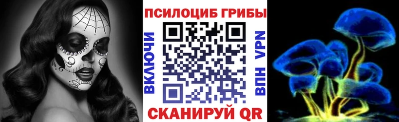 Псилоцибиновые грибы Psilocybine cubensis  Чёрмоз 